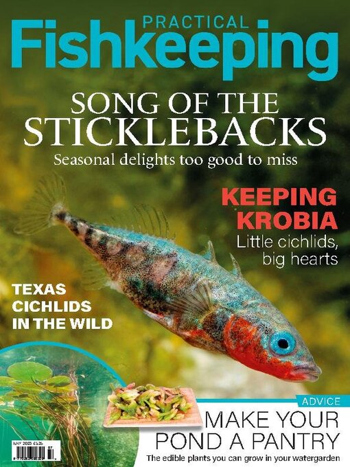 Title details for Practical Fishkeeping by Warners Group Publications Plc - Available